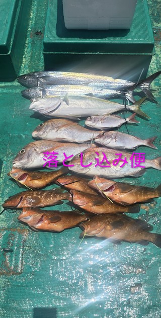 アコウ