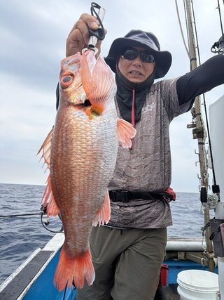 アカムツ