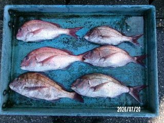タイ