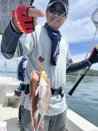 マダイ