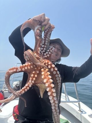 タコ