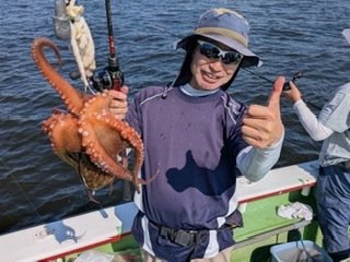マダコ
