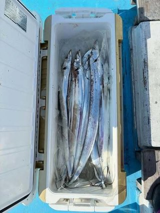 タチウオ