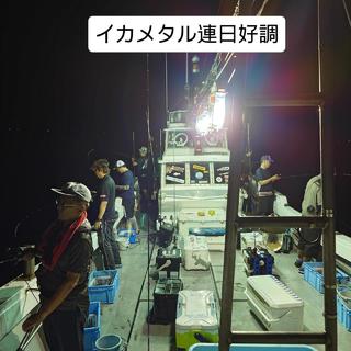 ヤリイカ