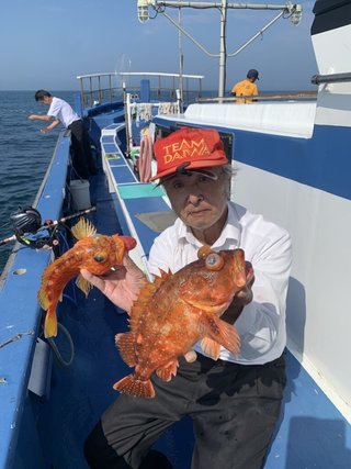 メダイ