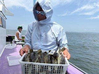 ショウサイフグ