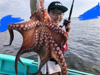 タコ