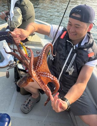 タコ