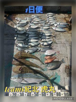アジ
