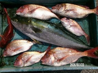 タイ