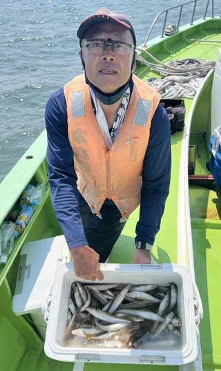 シロギス