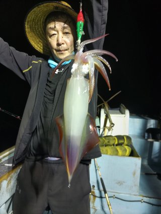 ヤリイカ