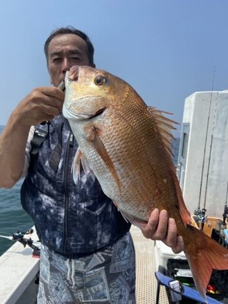タコ