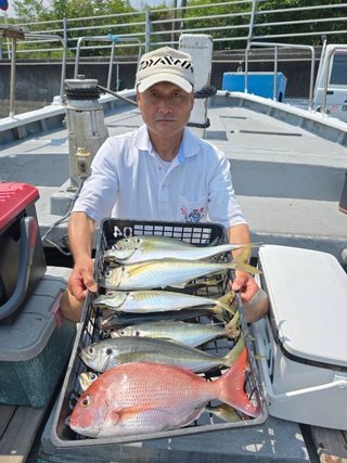 マダイ