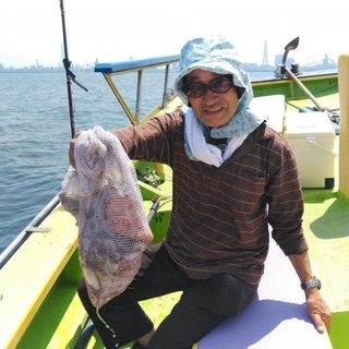 マダコ