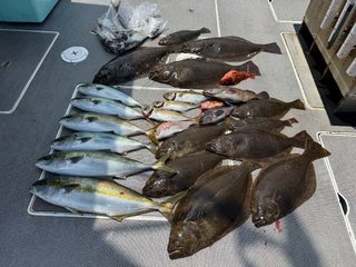 ヒラメ