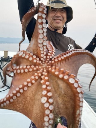 タコ