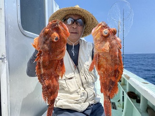 カサゴ