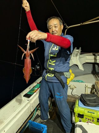 ヤリイカ
