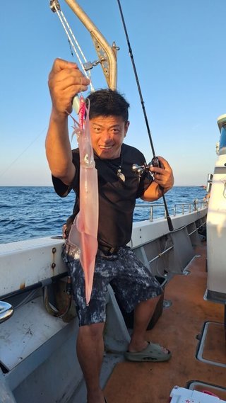 アカイカ