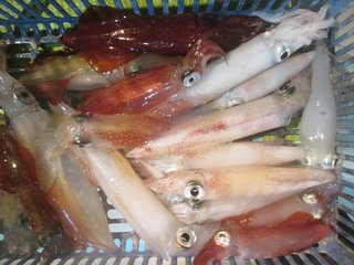 マイカ