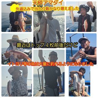 シロアマダイ