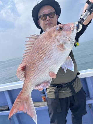 マダイ