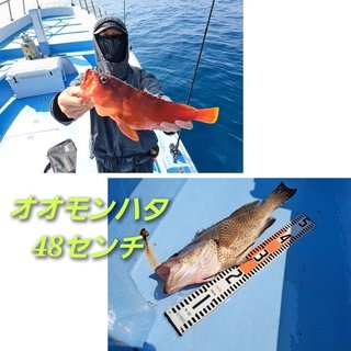 アカハタ