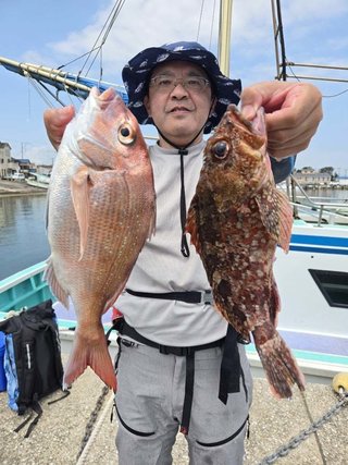 マダイ