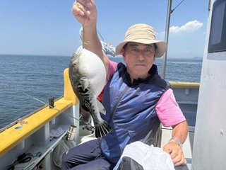 ショウサイフグ