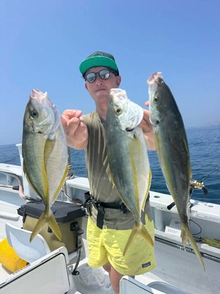 シマアジ