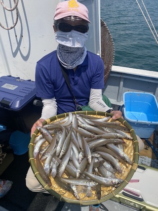 シロギス