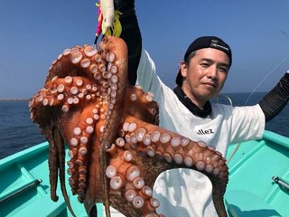 タコ