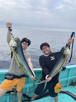 シイラ