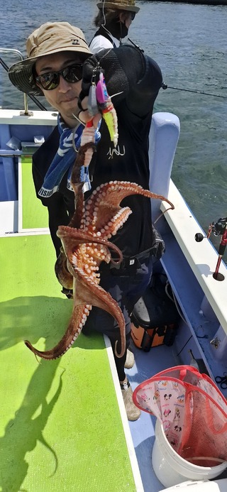 タコ