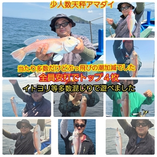 シロアマダイ