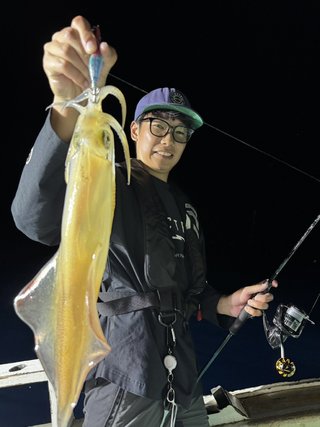 シロイカ