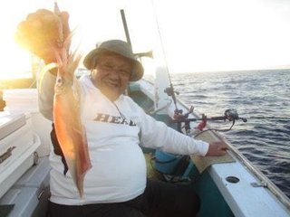 アカイカ