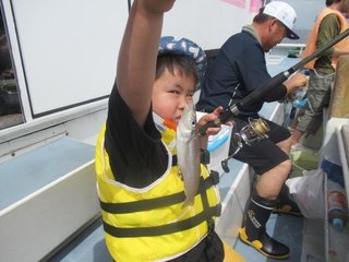 シロギス
