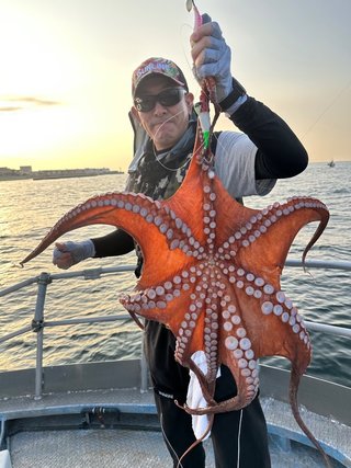 タコ