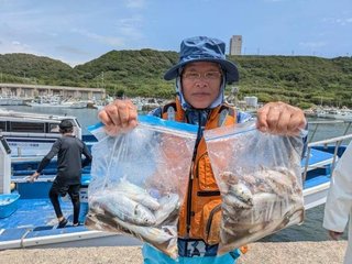 シロギス