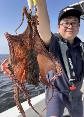 タコ