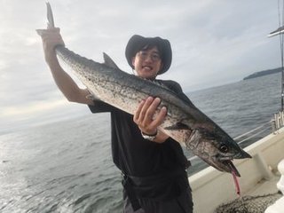 サワラ
