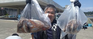 スルメイカ