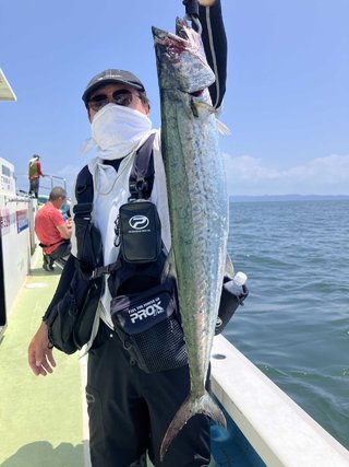 サワラ