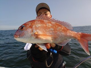 マダイ