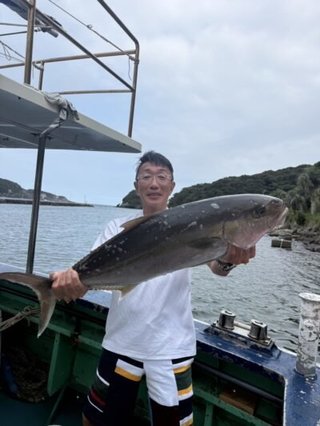 カンパチ