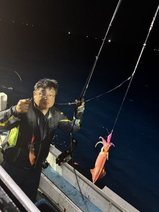 アカイカ