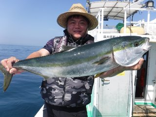 ブリ
