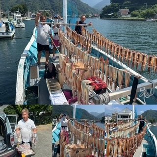 スルメイカ